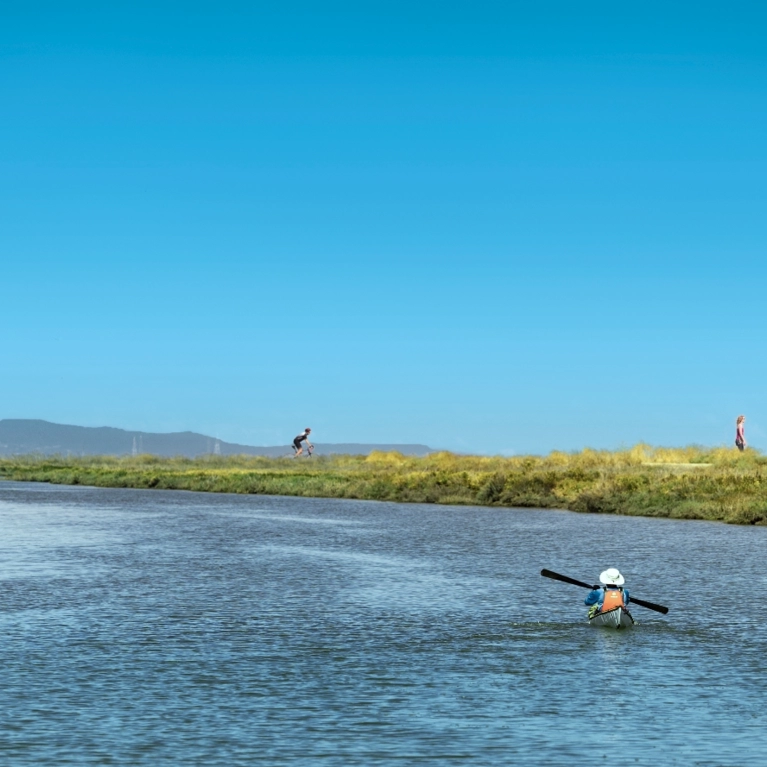 Alviso Marina County Park in San Jose