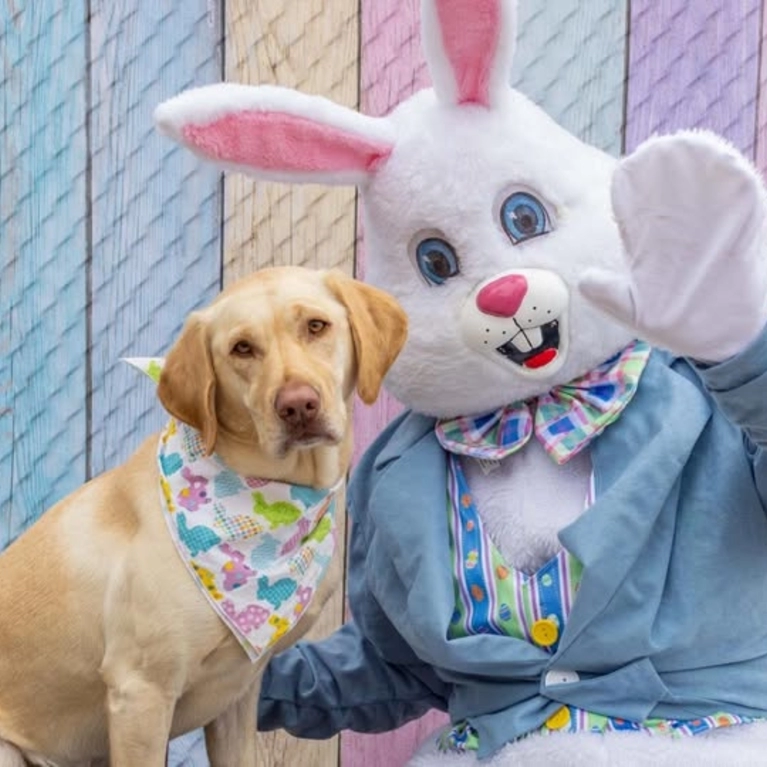 Pet Easter Bunny Photos Courtesy: Santana Row