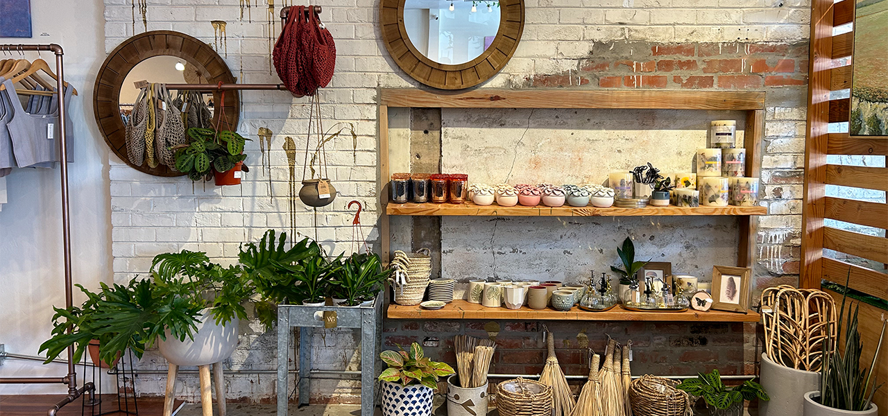 Boutique Dandelion